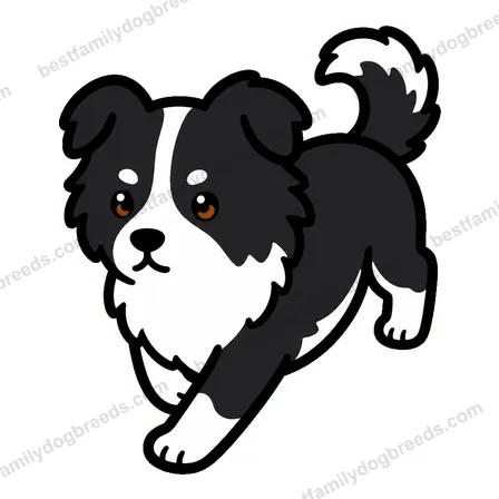Border Collie dog meme sticker preview
