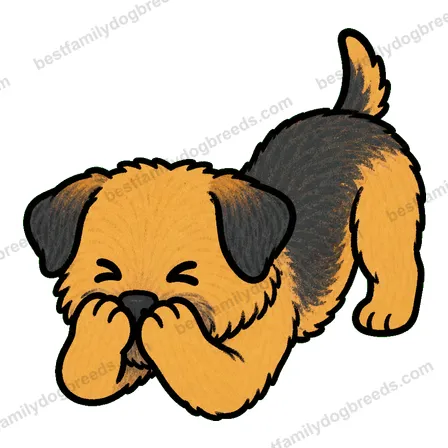 Border Terrier sticker 4