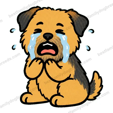 Border Terrier dog meme sticker preview