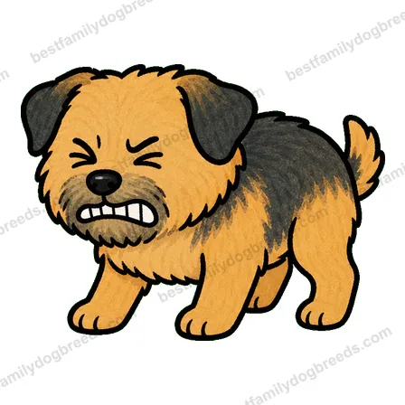 Border Terrier dog meme sticker preview