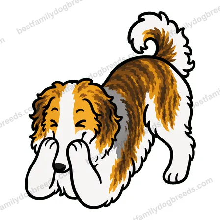 Borzoi sticker 4