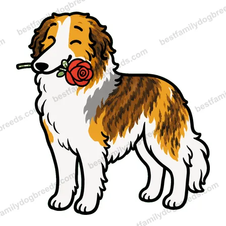 Borzoi sticker 22