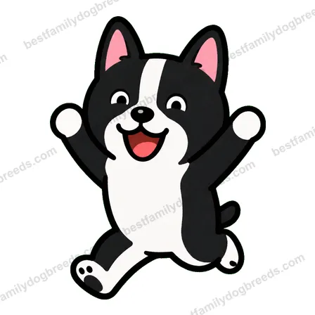 Boston Terrier dog meme sticker preview