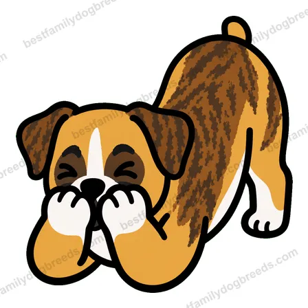 Boxer sticker 4