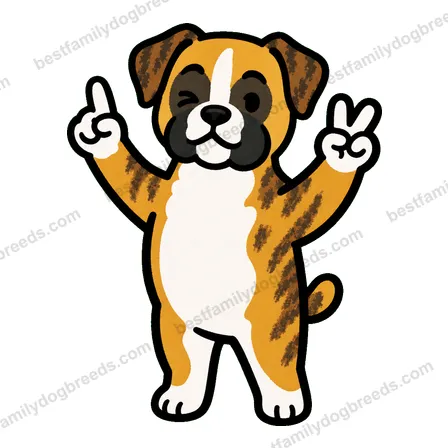 Boxer sticker 12