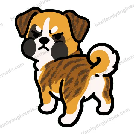 Boxer dog meme sticker preview