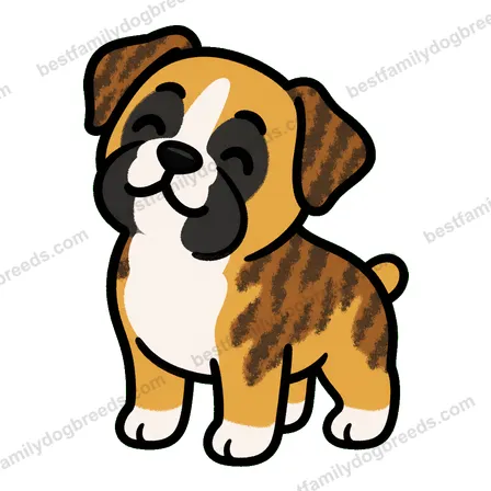 Boxer sticker 25