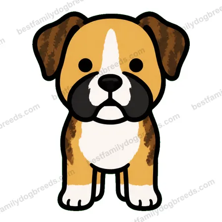 Boxer sticker 34