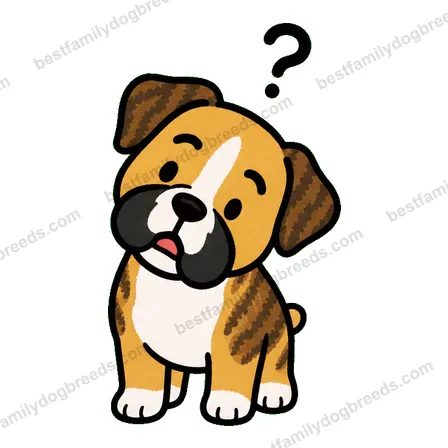 Boxer dog meme sticker preview