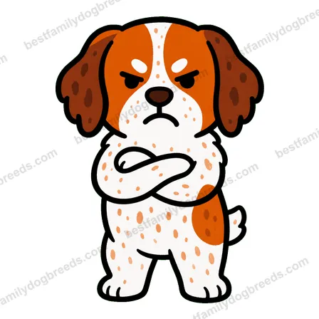 Brittany sticker 7