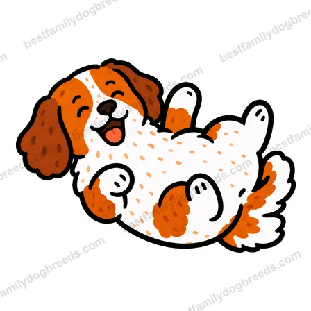 Brittany dog meme sticker preview
