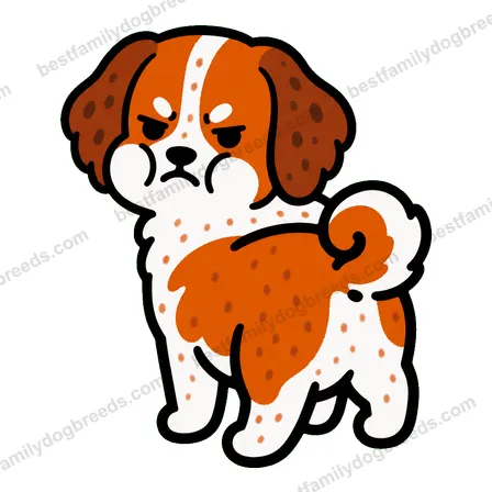 Brittany dog meme sticker preview