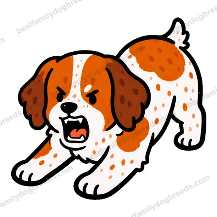 Brittany sticker 30