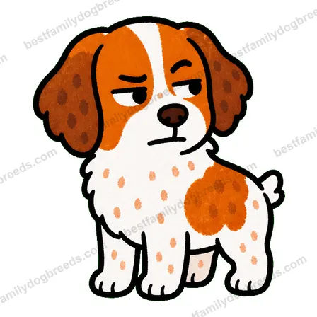 Brittany sticker 33