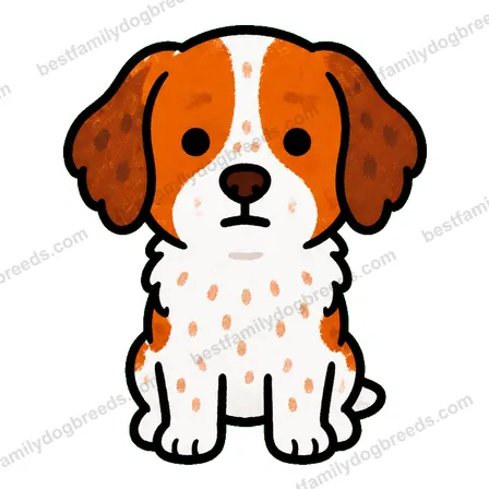 Brittany dog staring meme sticker