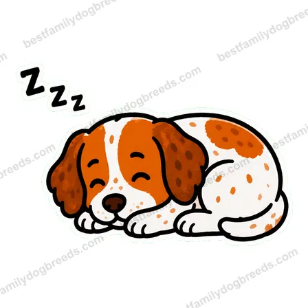 Brittany dog meme sticker preview