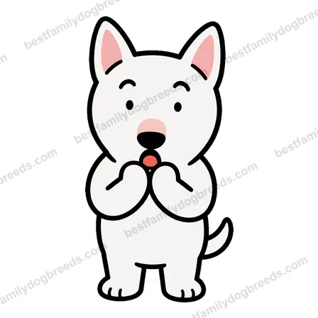 Bull Terrier surprised dog meme sticker