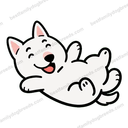 Bull Terrier dog meme sticker preview