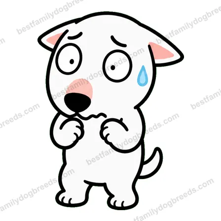 Bull Terrier dog meme sticker preview