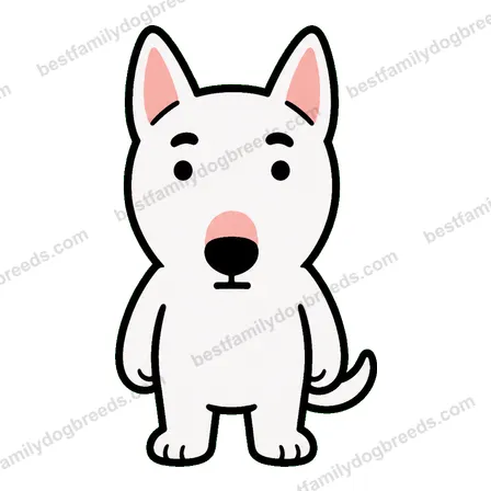Bull Terrier dog staring meme sticker