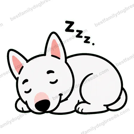 Bull Terrier dog meme sticker preview