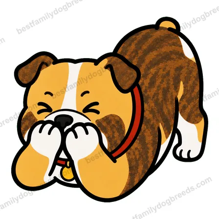 Bulldog cute dog meme sticker
