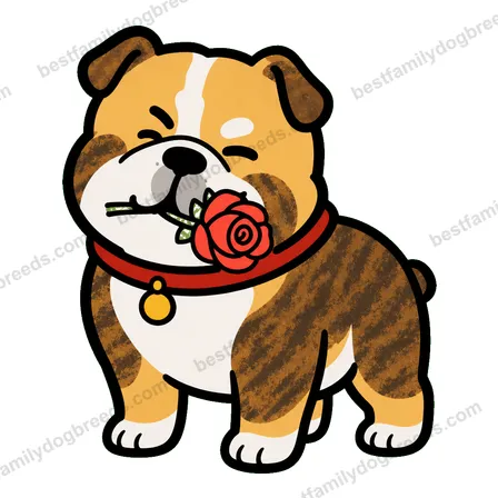 Bulldog sticker 22