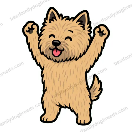 Cairn Terrier sticker 2