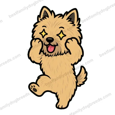 Cairn Terrier dog meme sticker preview