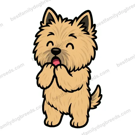 Cairn Terrier surprised dog meme sticker