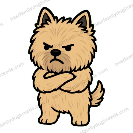 Cairn Terrier sticker 7