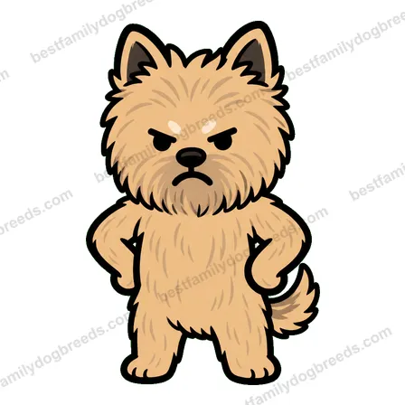 Cairn Terrier sticker 9