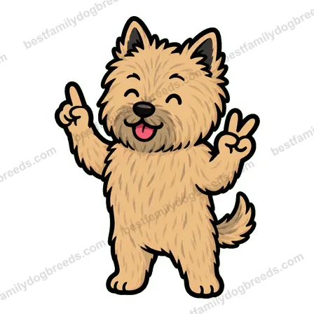 Cairn Terrier sticker 12