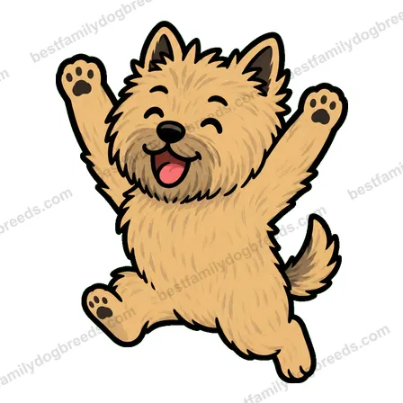 Cairn Terrier sticker 13