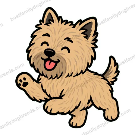 Cairn Terrier sticker 14