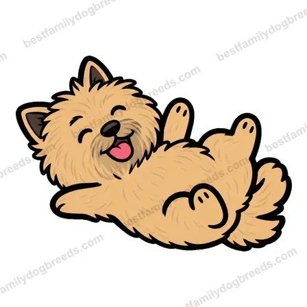 Cairn Terrier dog meme sticker preview