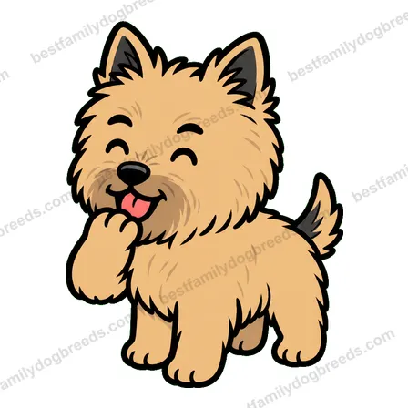 Cairn Terrier sticker 16