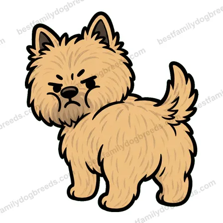 Cairn Terrier dog meme sticker preview