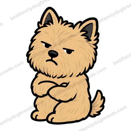 Cairn Terrier sticker 19