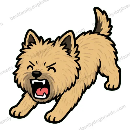 Cairn Terrier sticker 30