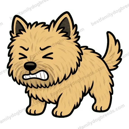 Cairn Terrier dog meme sticker preview
