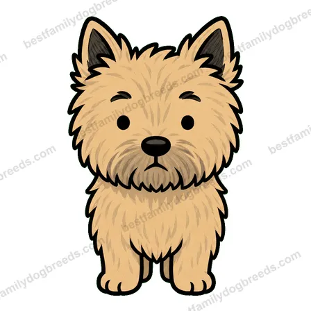 Cairn Terrier dog staring meme sticker