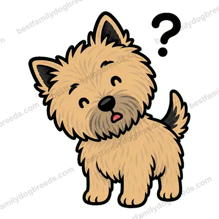 Cairn Terrier dog meme sticker preview