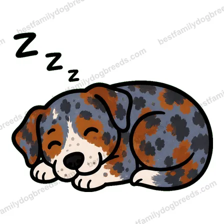Catahoula Leopard Dog dog meme sticker preview