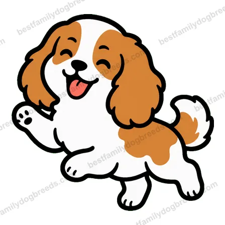 Cavalier King Charles Spaniel sticker 14