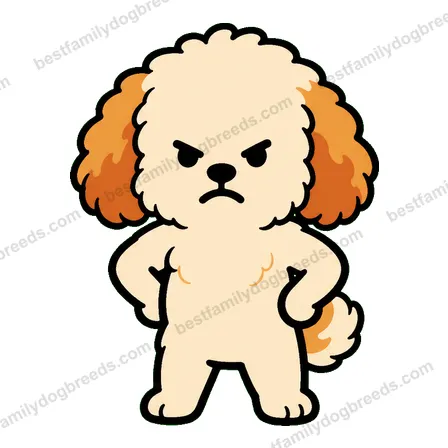 Cavapoo sticker 9