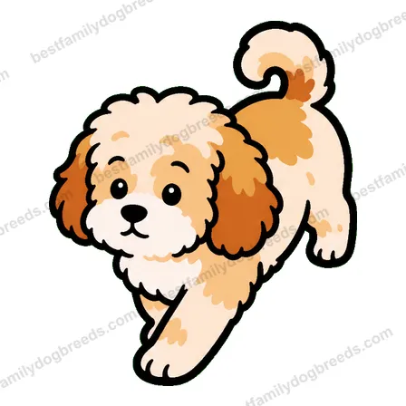 Cavapoo dog meme sticker preview