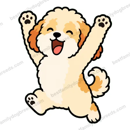 Cavapoo sticker 13