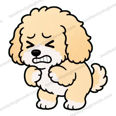 Cavapoo dog meme sticker preview