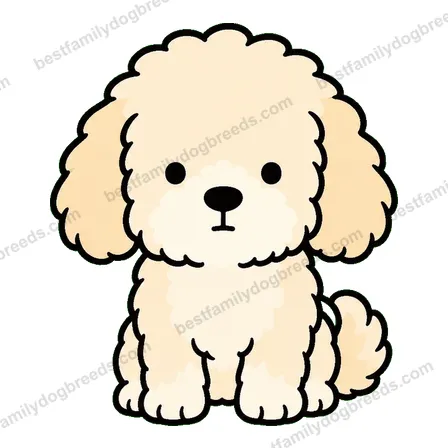 Cavapoo dog staring meme sticker